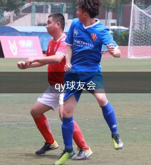 企业历程