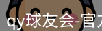 qy球友会
